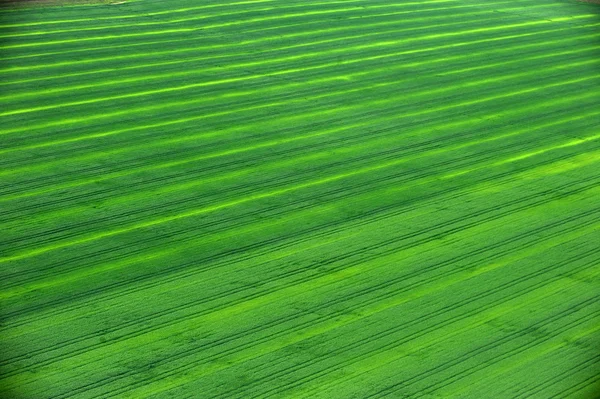 Aerial view over the green fields — Stock Photo, Image