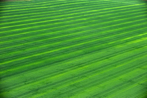 Vista aérea sobre los campos verdes — Foto de Stock