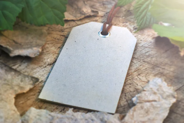 Güdük mock-up etikette