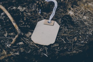 Ormanın içinde şablon etiketi