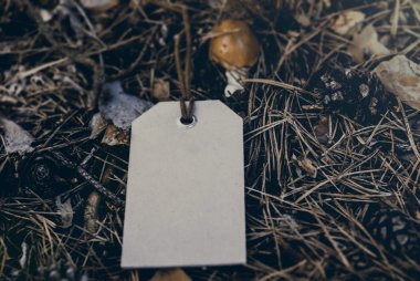 Ormandaki mock-up etiket