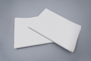 Mock-up iki tarama, gri bir arka plan