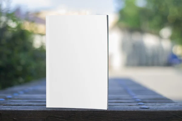 Mock-up dergi ve Katalog, tasarımınız için kapak.