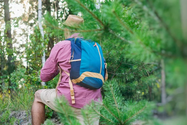男性の観光客は旅行のためのバックパックと森の中を歩く 観光をテーマにしたコンセプト — ストック写真