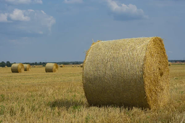 Latem Pola Zbierane Stogi Siana Tle Nieba Chmurami — Zdjęcie stockowe