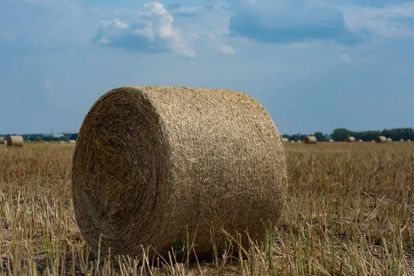 Haystacks Collected Field Summer Background Sky Clouds — Stock Photo, Image