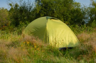 Doğa ve ormanın arka planında turist çadırı