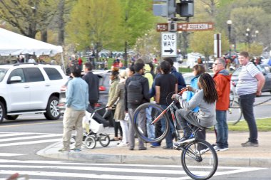 National Mall, Bisiklete binmek