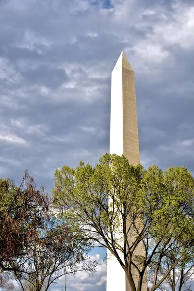 Monumento a Washington en DC —  Fotos de Stock