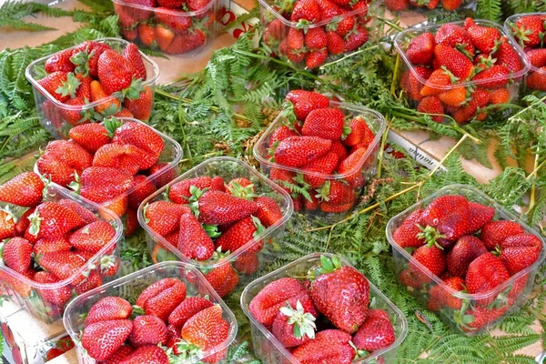 Świeże truskawki na sprzedaż na rynku — Zdjęcie stockowe