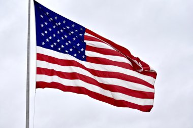 Birleşik Devletler bayrağı