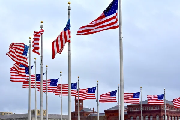 USA flags at the National Mall in DC — Stock Photo, Image