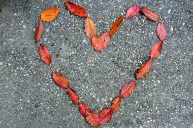 Yaprakları bir kalp oluşturma