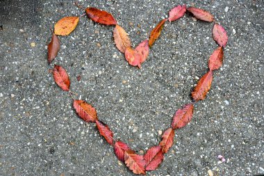 Yaprakları bir kalp oluşturma