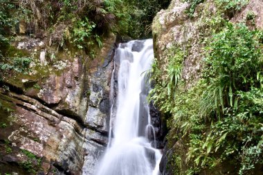 Porto Riko 'da şelale