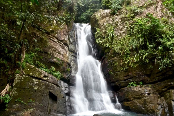 Wodospad w Puerto Rico Zdjęcie Stockowe