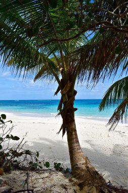 Flamenko Beach Culebra Adası
