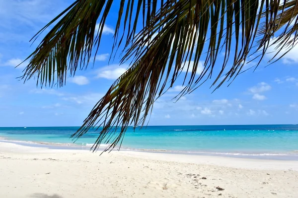 Flamenco Beach on Culebra island — Stock Photo, Image