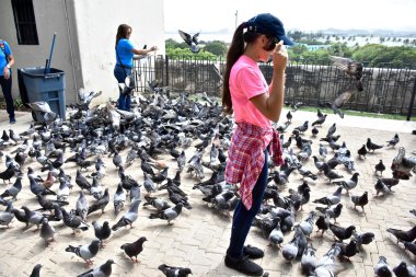 Güvercin besleme turist