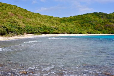 Güzel tropikal plaj