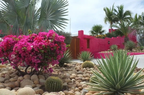 Parlak pembe duvar ve çiçekler