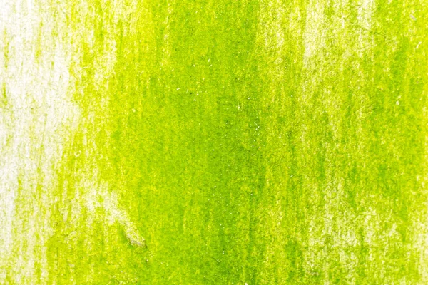 Superficie del musgo verde en la pared — Foto de Stock