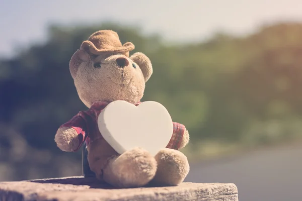 Teddy Bear holding white heart shaped stone