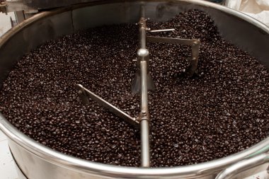 Taze kavrulmuş kahve çekirdekleri bir kahve kavurma