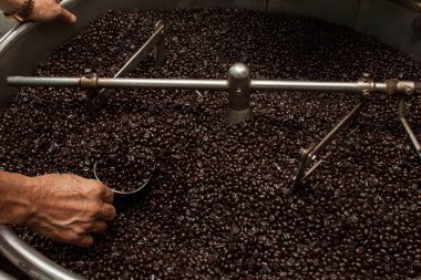 Taze kavrulmuş kahve çekirdekleri bir kahve kavurma