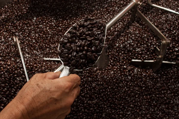 Frisch geröstete Kaffeebohnen im Kaffeeröster — Stockfoto