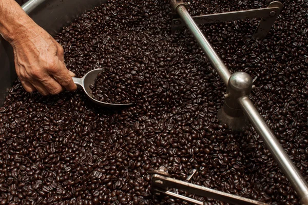 Frisch geröstete Kaffeebohnen im Kaffeeröster — Stockfoto