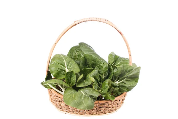 Πράσινο bok choy λαχανικό στο besket — Φωτογραφία Αρχείου