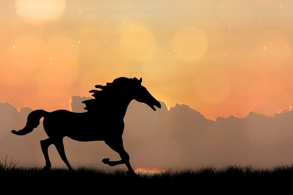 Silhouette de cheval sur fond de coucher de soleil — Photo
