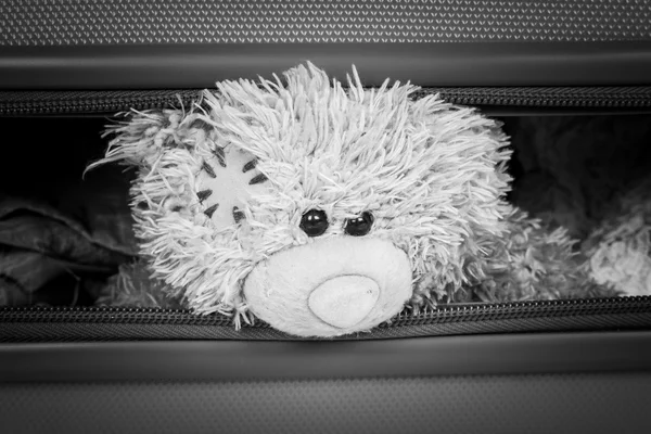 テディ ベア スーツケース、黒と白のトーンで単独で悲しい — ストック写真