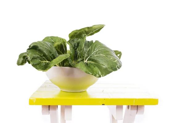 Zelený bok choy zelenina na stůl — Stock fotografie