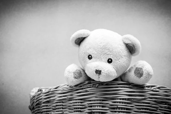 Teddy bear in basket,black and white tone — Stock Photo, Image