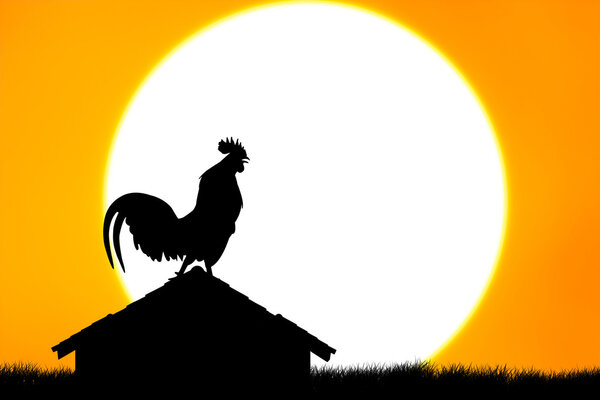 Roosters crow stand on housetop big sunset background