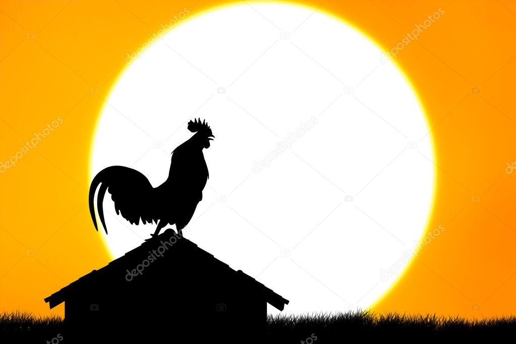 Roosters crow stand on housetop big sunset background