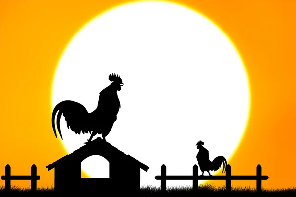 Roosters crow stand on housetop big sunset background — Stock Photo, Image