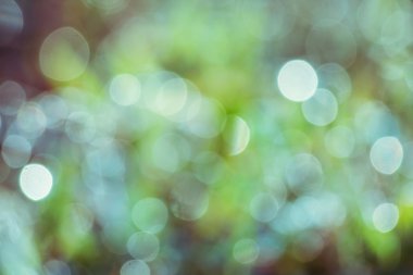 Güzel bokeh bulanık doğal arka plan