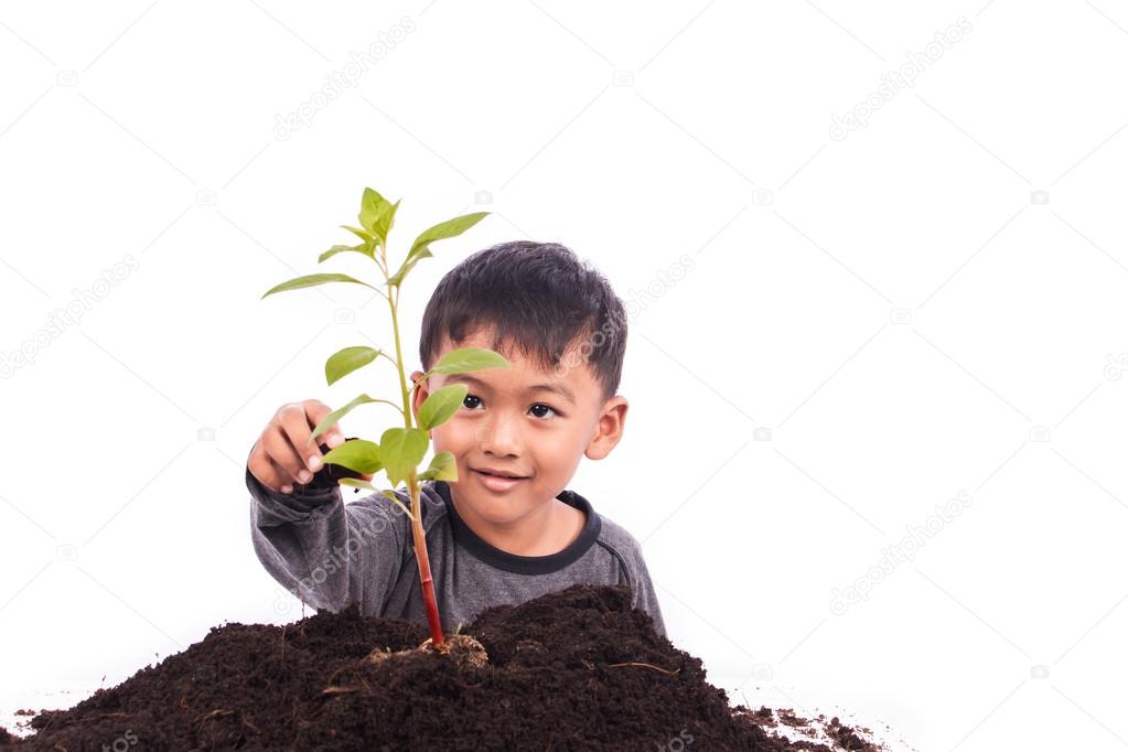 Cute little boy planting tree 