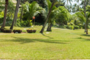 Bahçede yeşil çim bulanık