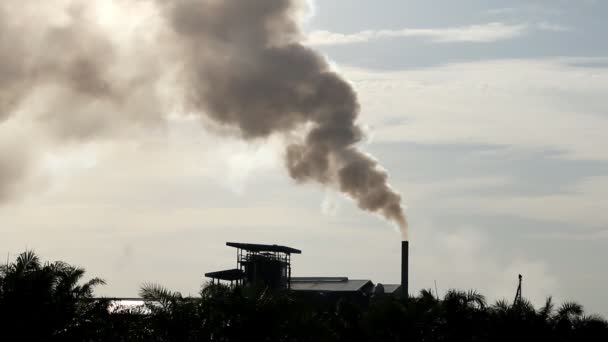 Concept de pollution, Fumée de l'industrie — Video