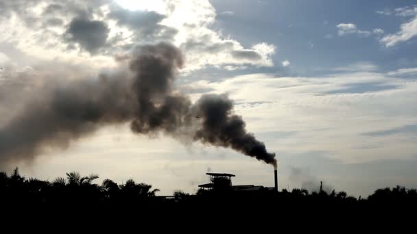 Concept de pollution, Fumée de l'industrie — Video