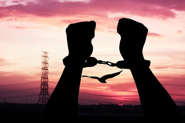 silhouette of hand men in shackle on sunset in city background