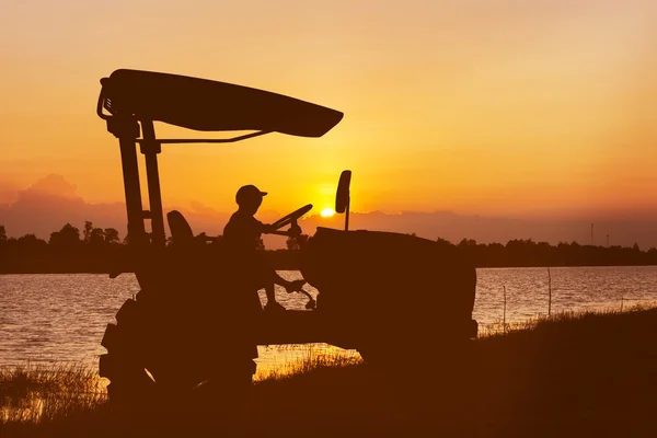 boy driver tractor on rice field in the sunset back