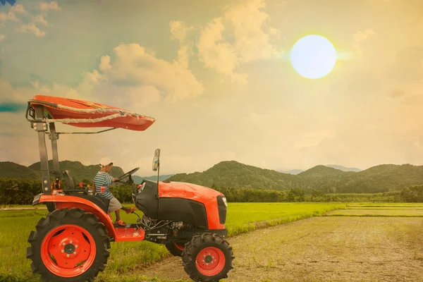 Asian little boy driver tractor on rice field in the sunset back — Stock Photo, Image