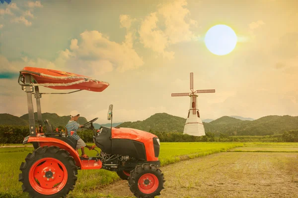 Asian little boy driver tractor on rice field in the sunset back — Stock Photo, Image