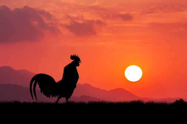 Roosters crow stand on a wind turbine. In the morning sunrise ba — Stock Photo, Image