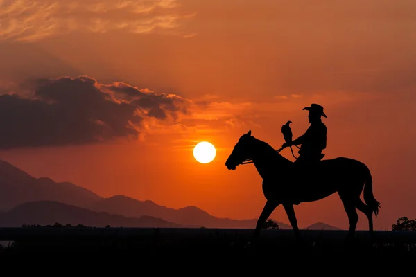Silhouette of Cowboy sitting on his horse at sunset background — Stock Photo, Image